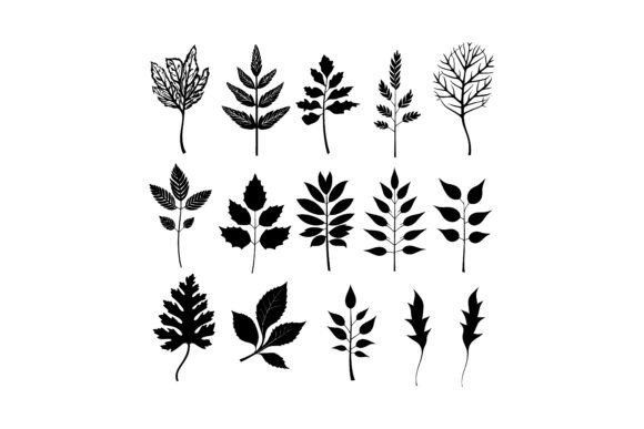 Decorative Leaf Silhouette Set: Your New Go-To Design Asset