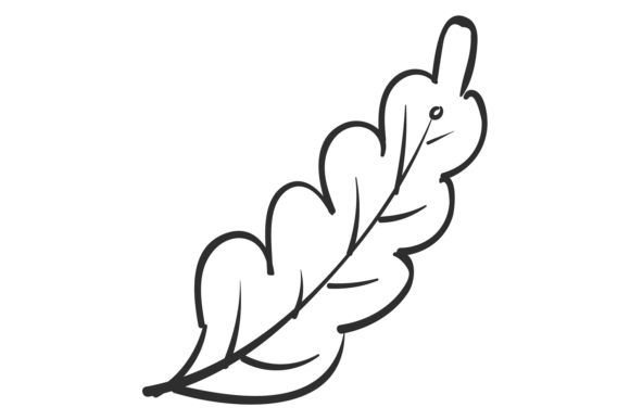 Leaf Drawing: The Decorative Nature Element for Modern Design